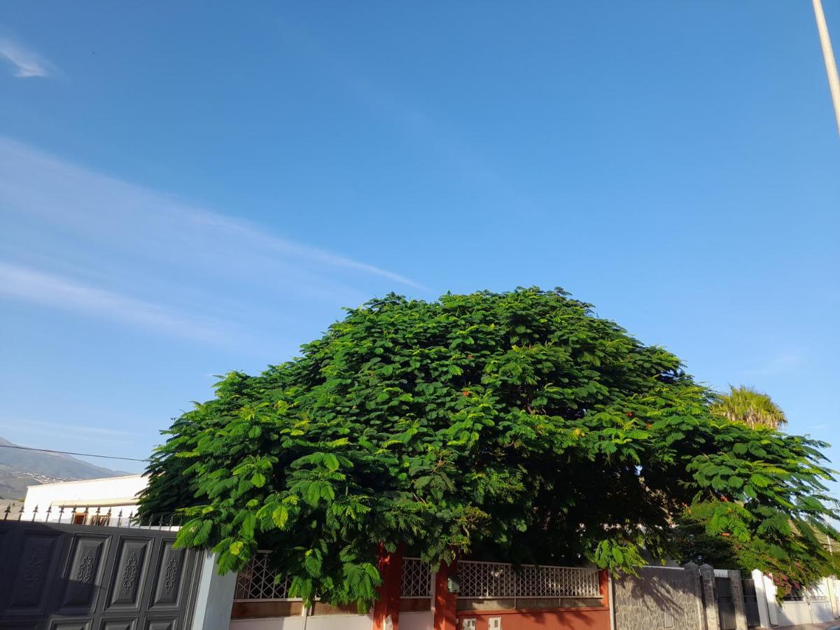Tenerife Homestay San Miguel de Abona Ngoại thất bức ảnh
