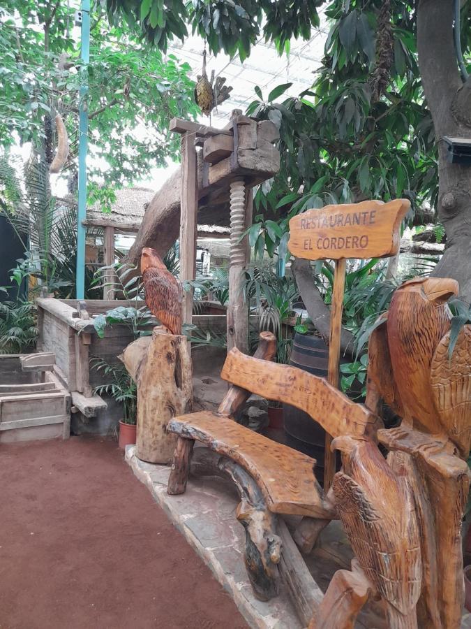 Tenerife Homestay San Miguel de Abona Ngoại thất bức ảnh